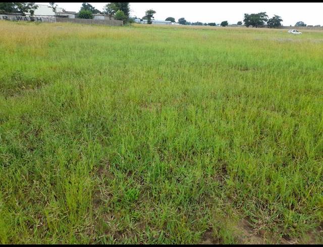 LAND FOR SALE IN DALESIDE